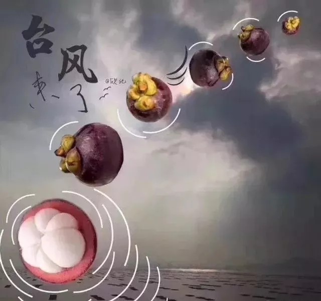 臺風(fēng)無情人有情，應(yīng)對臺風(fēng)“山竹”，我們團(tuán)結(jié)一心。