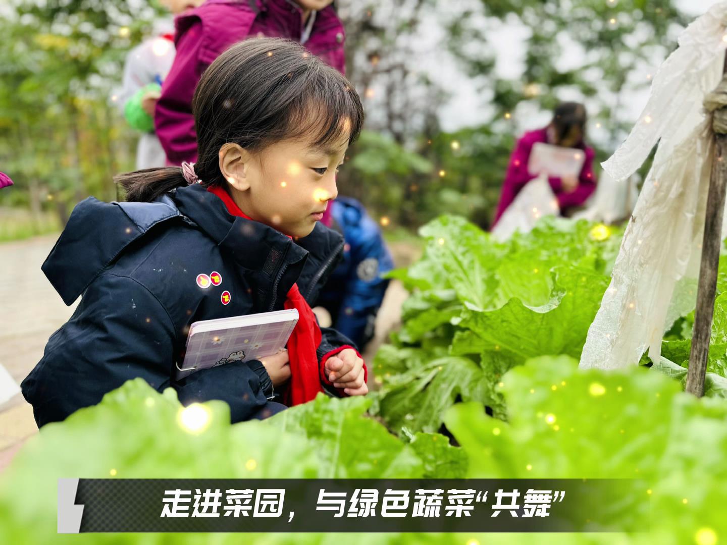 美好學(xué)校|留校時光，走出教室，與綠色蔬菜共舞