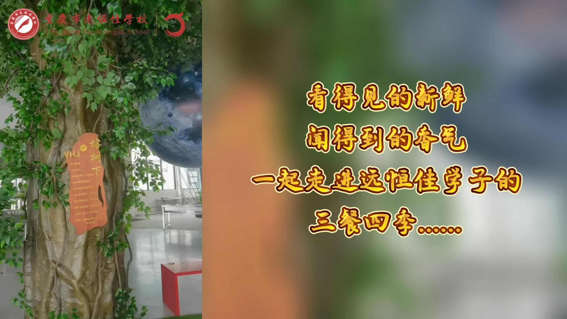 美好學(xué)校|看得見的新鮮，聞得到的香味，一起走進遠恒佳學(xué)子的三餐四季!